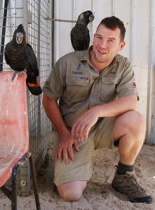 Chris-Phillips-black-cockatoos