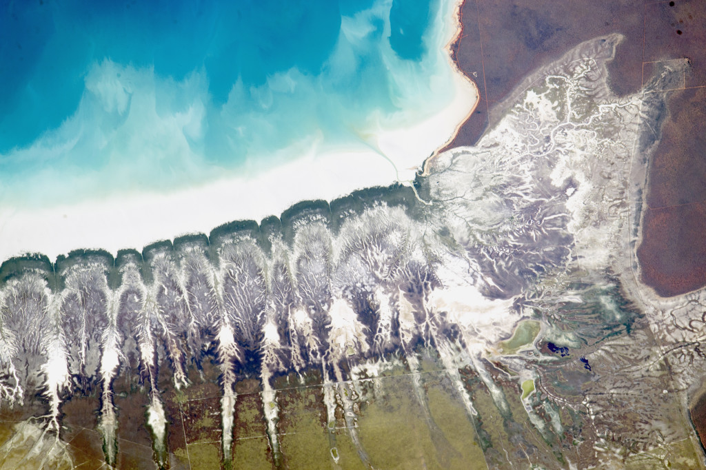 Image courtesy of the Earth Science and Remote Sensing Unit, NASA Johnson Space Centre