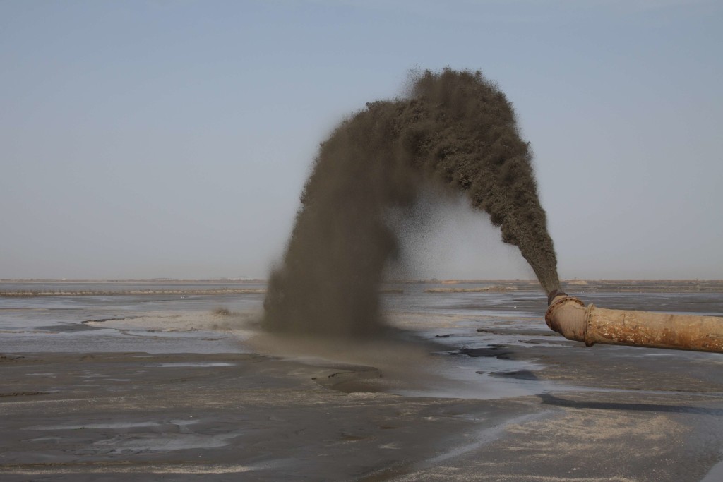 Shorebird_threats_by Adrian Boyle